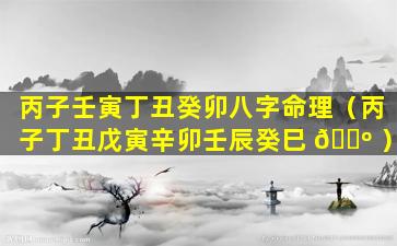 丙子壬寅丁丑癸卯八字命理（丙子丁丑戊寅辛卯壬辰癸巳 🐺 ）